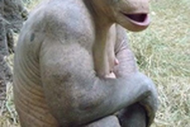 Chàng tinh tinh “trần như nhộng”