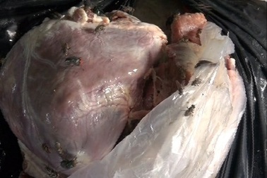 Thịt đổi màu, hôi thối vẫn được đưa ra chợ bán!