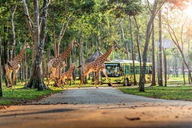 Tuổi thơ nhiều trải nghiệm tại Vinhomes Green Paradise