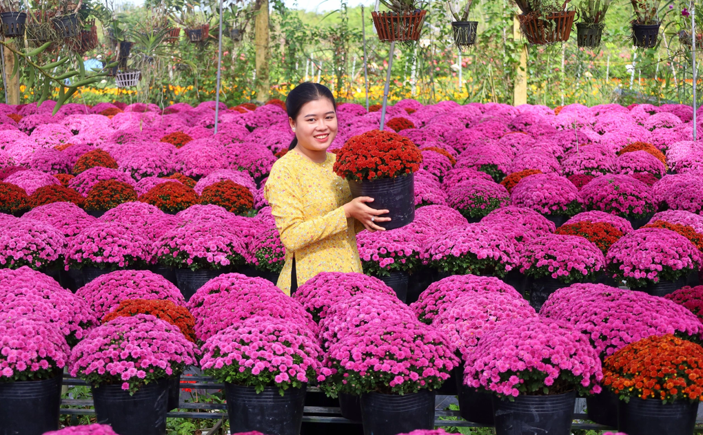 Xây dựng tư duy kinh tế hoa kiểng tại làng hoa đẹp nhất phương Nam - 2