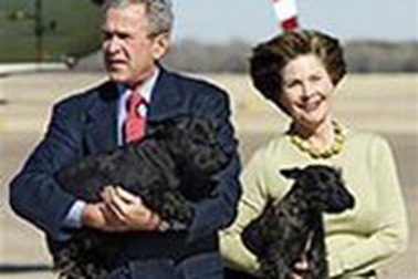 Ông Bush thích đọc sách gì?