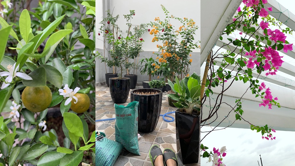 Chỉ có 400 triệu đồng, mẹ đơn thân “liều” mua đất, 3 năm sau xây nhà bạc tỷ - 14 Chỉ có 400 triệu đồng, mẹ đơn thân “liều” mua đất, 3 năm sau xây nhà bạc tỷ - 14