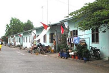 Tết buồn của người tạm cư 