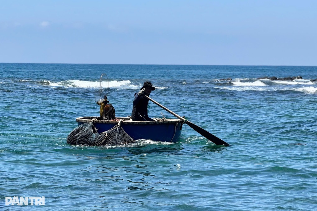 Bắt loài hải sản đầy gai, ngư dân kiếm 2 triệu đồng mỗi ngày - 1 Bắt loài hải sản đầy gai, ngư dân kiếm 2 triệu đồng mỗi ngày - 1