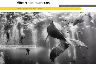 Những bức hình chiến thắng trong cuộc thi ảnh của National Geographic năm 2015