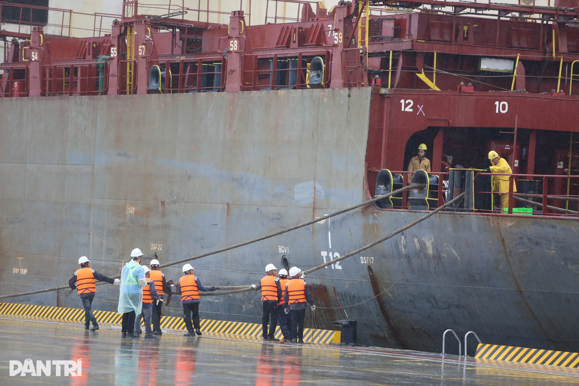 Cảng biển lớn nhất Đồng Nai đón chuyến tàu quốc tế đầu tiên - 3 Cảng biển lớn nhất Đồng Nai đón chuyến tàu quốc tế đầu tiên - 3