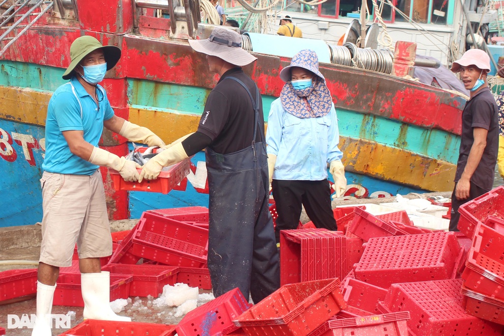Những chuyến biển mang tiền khủng về cho ngư dân - 3 Những chuyến biển mang tiền khủng về cho ngư dân - 3