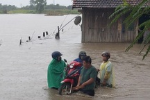 Hàng chục hộ dân chìm trong biển nước phải khẩn trương sơ tán