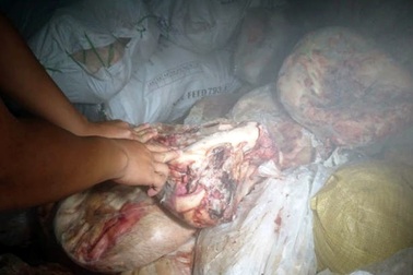 Liên tiếp bắt hơn 6 tấn nội tạng động vật bốc mùi