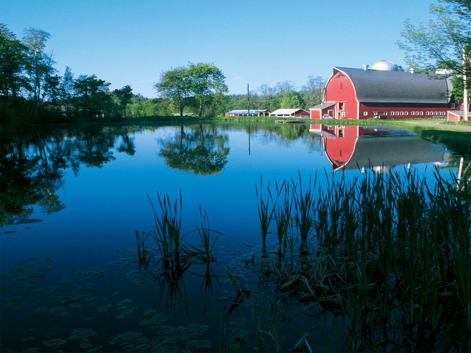 Hai ngôi trường “độc nhất vô nhị” trên thế giới - 3