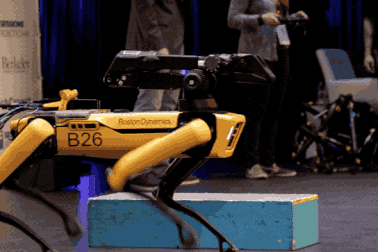 Chó robot "chuẩn Mỹ" được bán với giá gần 2 tỷ đồng