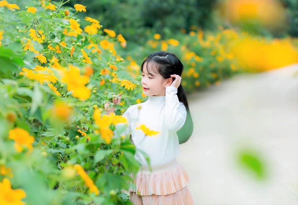 Loài hoa nổi tiếng Đà Lạt bung lụa ở Tràng An làm đắm say lòng du khách - 7