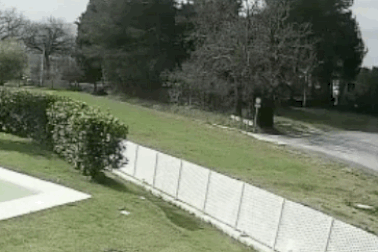 Liều lĩnh đua trái phép, hai chủ siêu xe Ferrari có kết cục ê chề