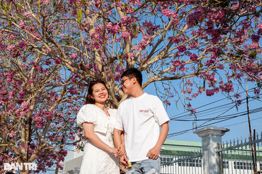 Du khách nườm nượp check-in con đường hoa kèn hồng nổi tiếng nhất miền Tây