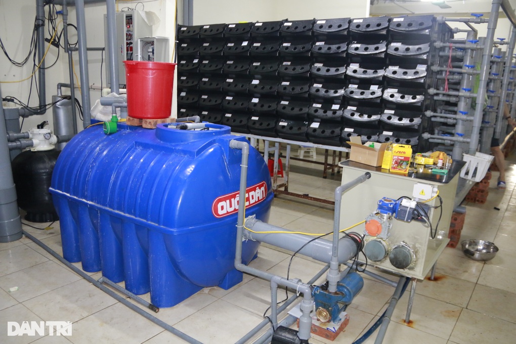 Mục sở thị chung cư mi ni nuôi cua biển giữa phố của chàng trai 9X - 3 Mục sở thị chung cư mi ni nuôi cua biển giữa phố của chàng trai 9X - 3