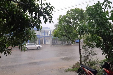 Cơn mưa quý hơn vàng giải cứu người dân sau những ngày nắng nóng