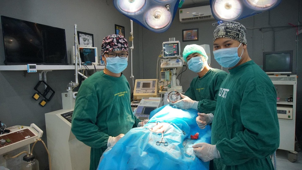 Chàng trai lập tổng đài cứu chữa thú cưng mùa giãn cách xã hội - 2 Chàng trai lập tổng đài cứu chữa thú cưng mùa giãn cách xã hội - 2