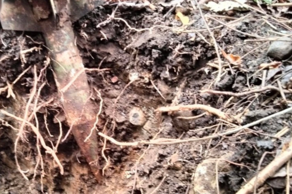 Phát hiện quả bom còn nguyên vẹn nằm trên đồi - 1