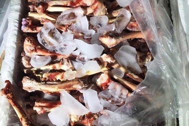 Ngăn hơn 3 tạ xương dê không nguồn gốc chuẩn bị tuồn ra thị trường