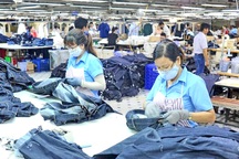 BHXH VN: Hướng dẫn tạm dừng đóng vào quỹ hưu trí và tử tuất