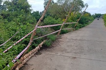 Đường vào chùa có tượng Quan Âm cao nhất miền Tây sạt lở, cấm ô tô đi lại