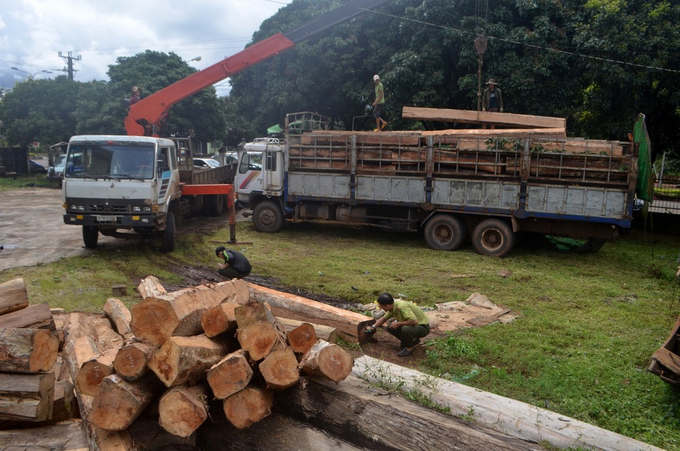 Gỗ lậu lộng hành trên vùng biên giới: Con voi chui lọt lỗ kim! - 3 Gỗ lậu lộng hành trên vùng biên giới: Con voi chui lọt lỗ kim! - 3