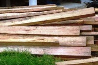 Công nhân xây dựng dùng xe công trình đi buôn gỗ lậu