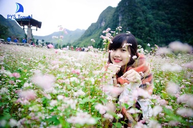 Chiêm ngưỡng vẻ đẹp nơi thủ phủ tam giác mạch