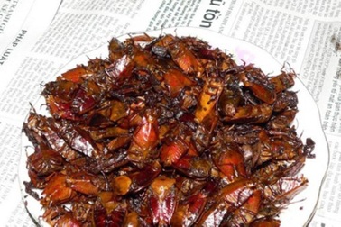 Tứ đại đặc sản “thối, hôi, ghê, gớm” ở Mường La