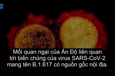 Mức độ đặc biệt nguy hiểm của biến chủng Covid-19 từ Ấn Độ
