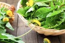 Loại rau mọc dại đầy Việt Nam, nhưng lại là "thần dược" cho sức khỏe