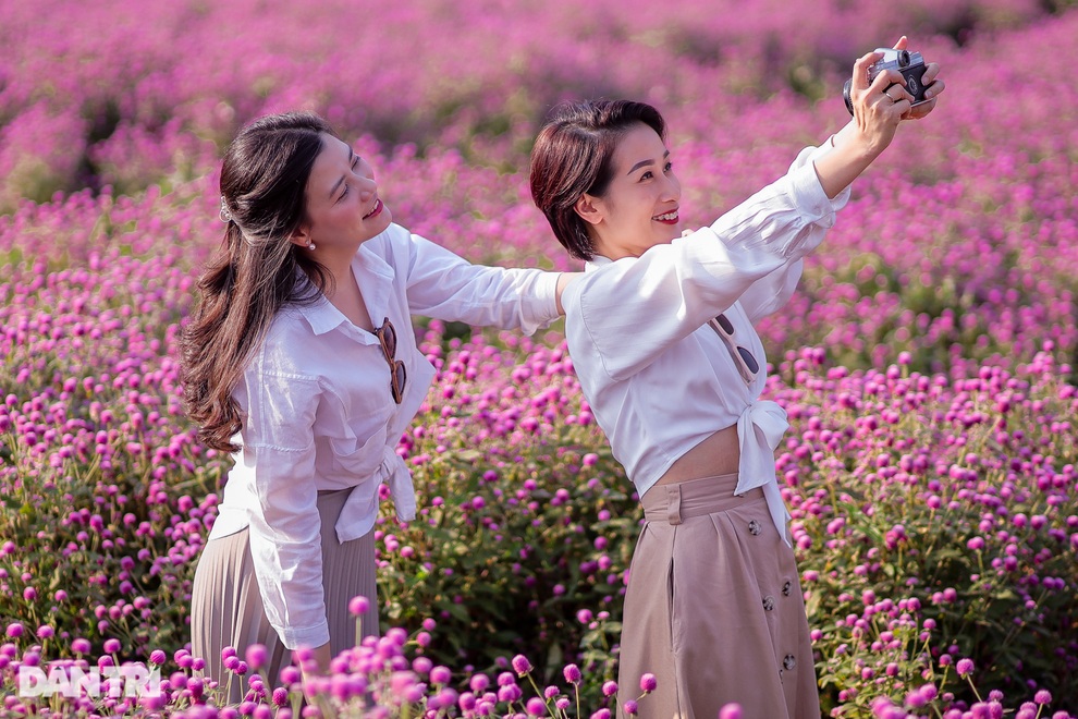 Lạc vào cánh đồng hoa tím lịm như trời Âu ở Hà Nội - 1 Lạc vào cánh đồng hoa tím lịm như trời Âu ở Hà Nội - 1