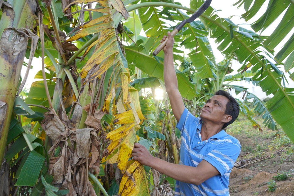 Quyết tâm xin thoát nghèo vì thấy mình giàu hơn rất nhiều người khác! - 3