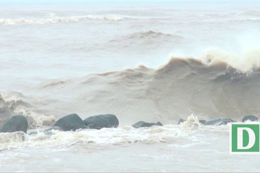 Phú Yên: Người dân di dời tài sản và vật nuôi lên nơi khô ráo