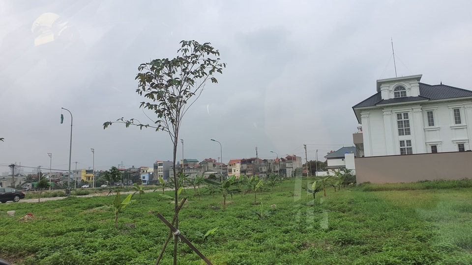 Quảng Ninh: Động thái mạnh tay với cơn sốt đất hầm hập - 2 Quảng Ninh: Động thái mạnh tay với cơn sốt đất hầm hập - 2