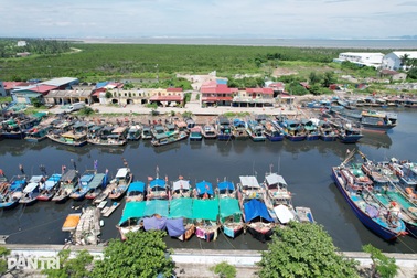 Quảng Ninh, Hải Phòng, Hưng Yên đồng loạt cấm biển ứng phó bão Ragasa