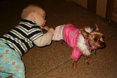 Những em bé vui tính