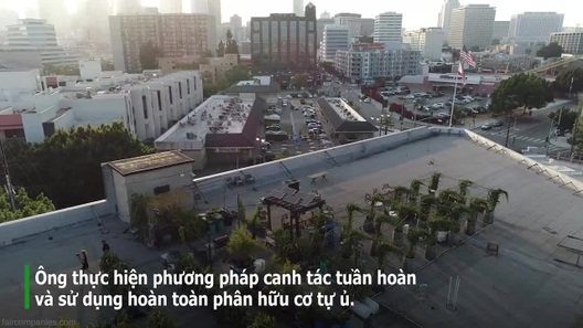 Bất ngờ nông trại giữa phố thị đông đúc của ông lão đam mê làm vườn