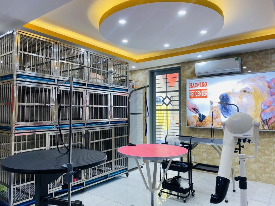 Nhà giàu Việt thuê khách sạn sang chảnh, có cả vệ sĩ cho thú cưng ngày Tết - 2 Nhà giàu Việt thuê khách sạn sang chảnh, có cả vệ sĩ cho thú cưng ngày Tết - 2