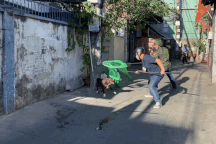 Cán bộ phường ở TPHCM bị chó chạy rông cắn chảy máu chân khi vây bắt