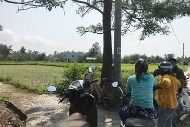 Cò đất "thổi giá" náo loạn vùng quê