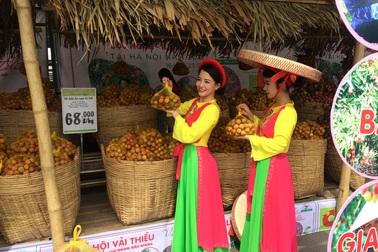 Vải Lục Ngạn sắp được xuất vào thị trường Thái Lan