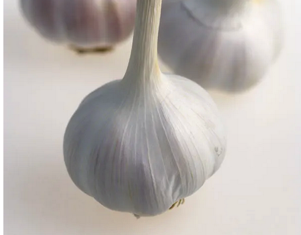 10 thực phẩm tăng cường miễn dịch trong mùa đông - 4