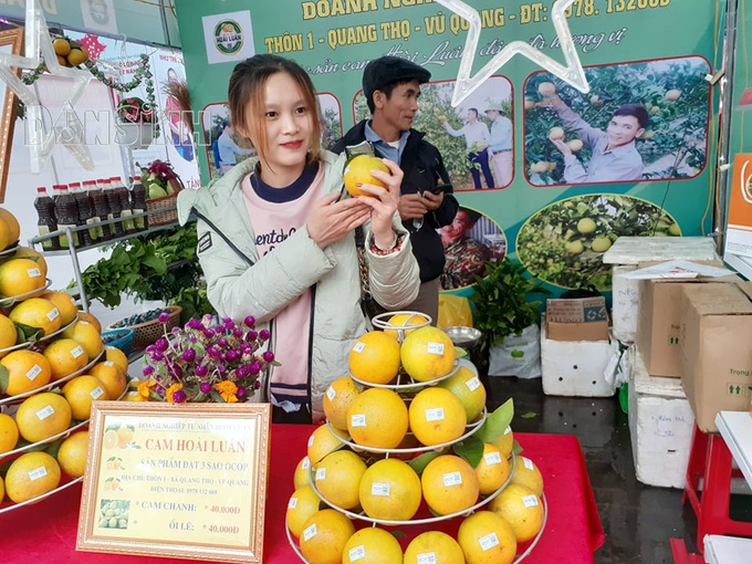 Hà Tĩnh: Chương trình giới thiệu cam và các sản phẩm nông nghiệp vươn ra thị trường lớn - Ảnh 1.