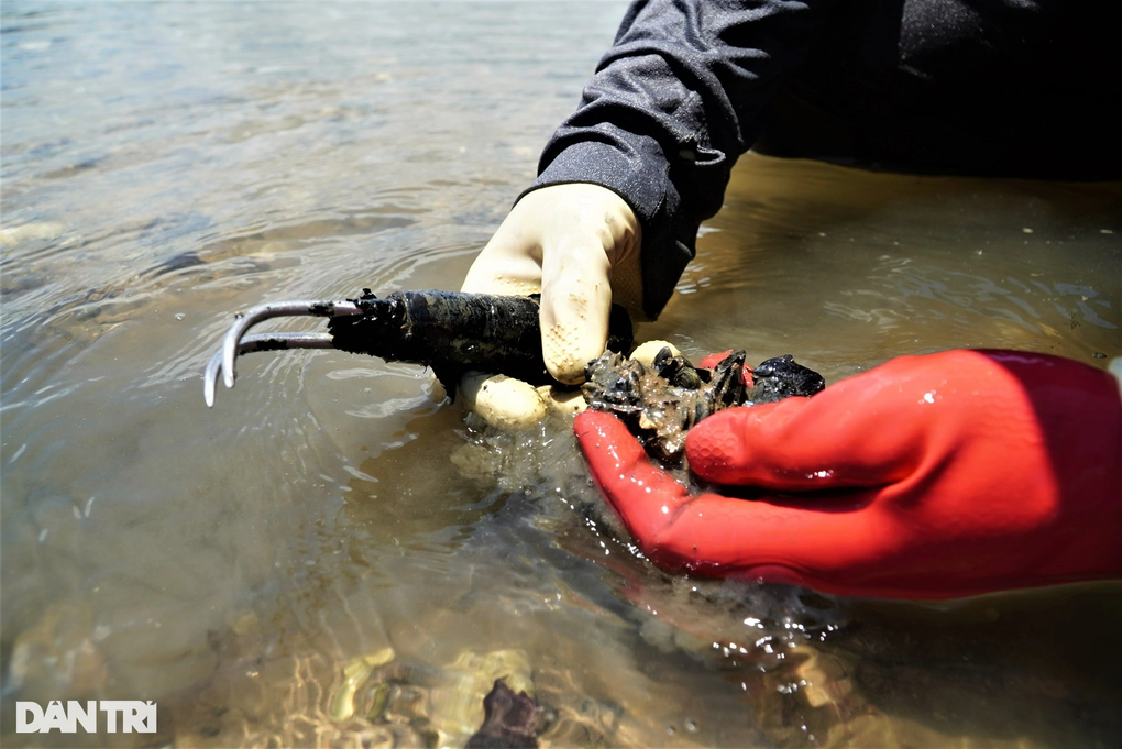 Săn thức ăn cho tôm hùm, kiếm tiền triệu mỗi ngày - 6 Săn thức ăn cho tôm hùm, kiếm tiền triệu mỗi ngày - 6