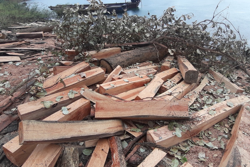 Phát hiện công trường gỗ trái phép ngang nhiên tập kết giữa lòng sông - 5 Phát hiện công trường gỗ trái phép ngang nhiên tập kết giữa lòng sông - 5
