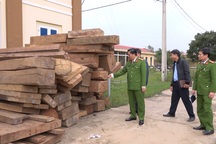 Khởi tố vụ án phá rừng quy mô lớn xảy ra tại Quảng Bình