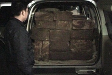 Bắt 14 hộp gỗ pơmu trái phép trong ô tô