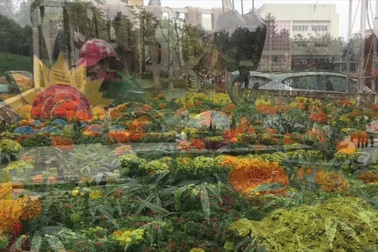 Video rực rỡ con đường hoa nghệ thuật đón mùa xuân mới về ở Nghệ An