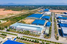 Loạt "đại bàng" từ Trung Quốc tới Việt Nam, nhiều đại gia "hốt bạc"